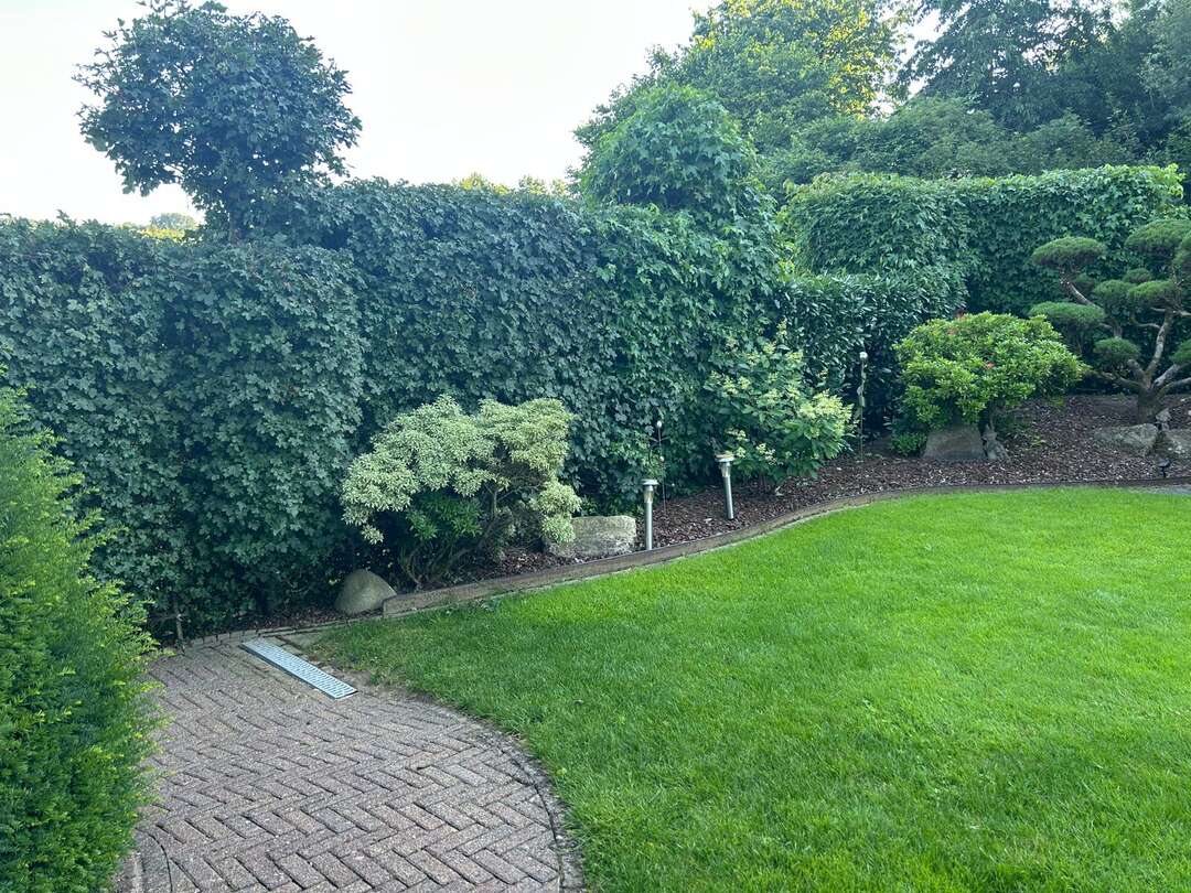 Gepflegter Garten mit Formschnitt, Rasen und sauberem Beet