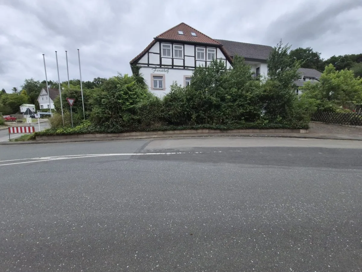 Freigeschnittener Weg am Haus nach der Pflege