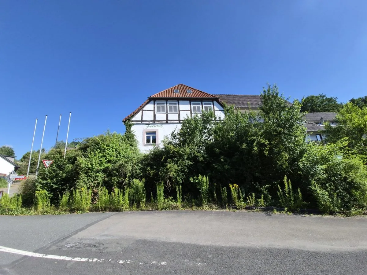Vollstaendig zugewachsener Weg am Haus vor der Pflege