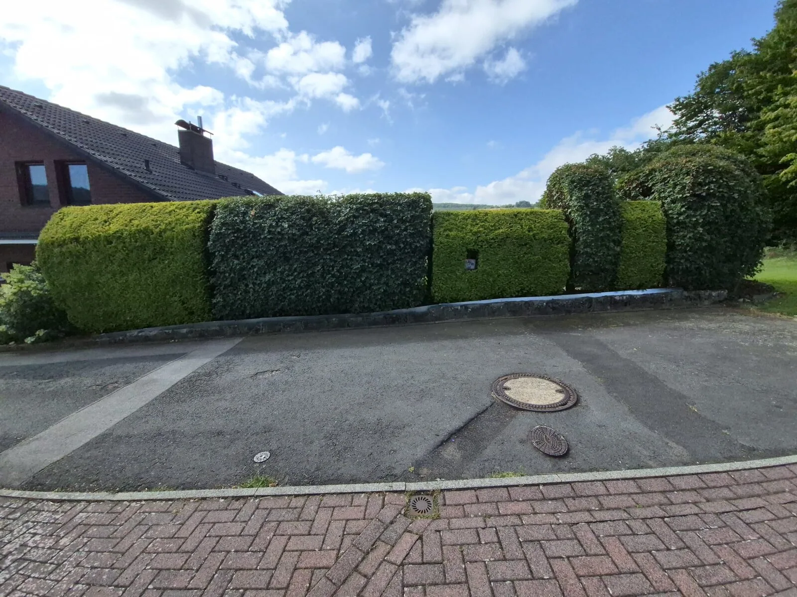 Gerade geschnittene Hecke entlang einer Einfahrt