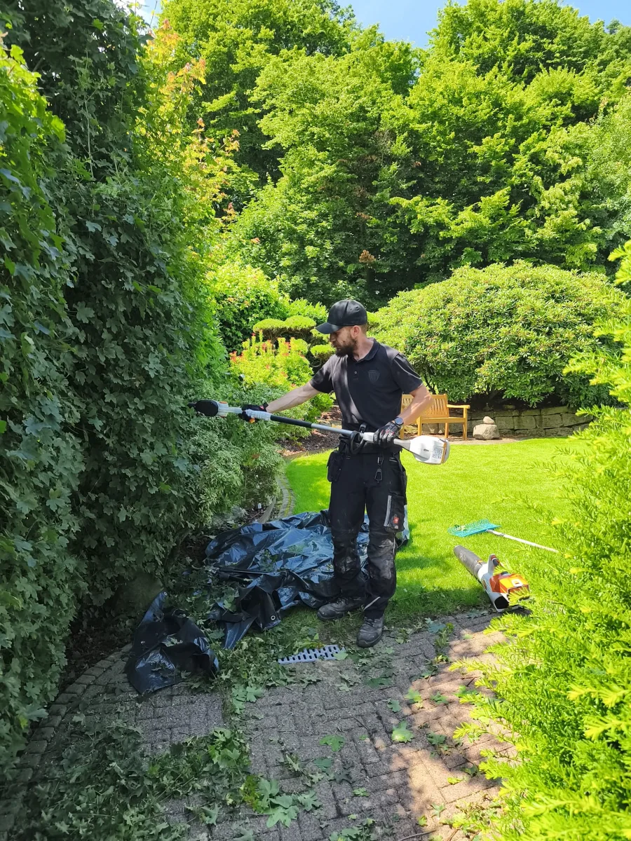 Gartenpflege direkt am Objekt