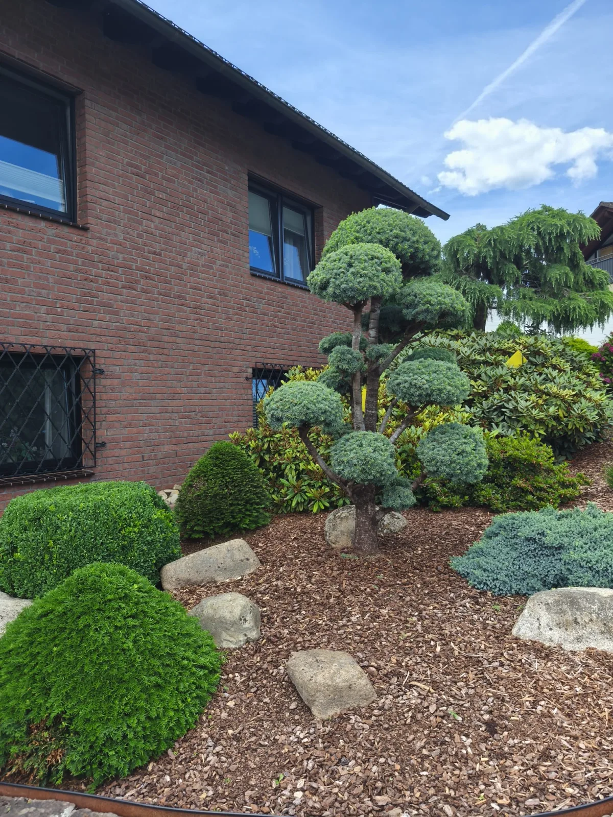 Gepflegte Gartenanlage vor einem Wohnhaus