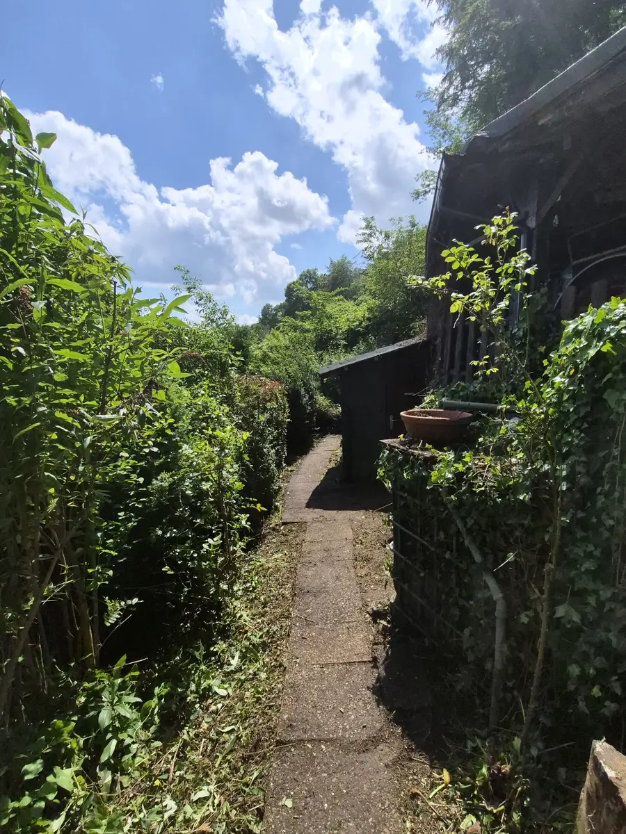 Freigelegter Gartenweg nach der Gartenpflege