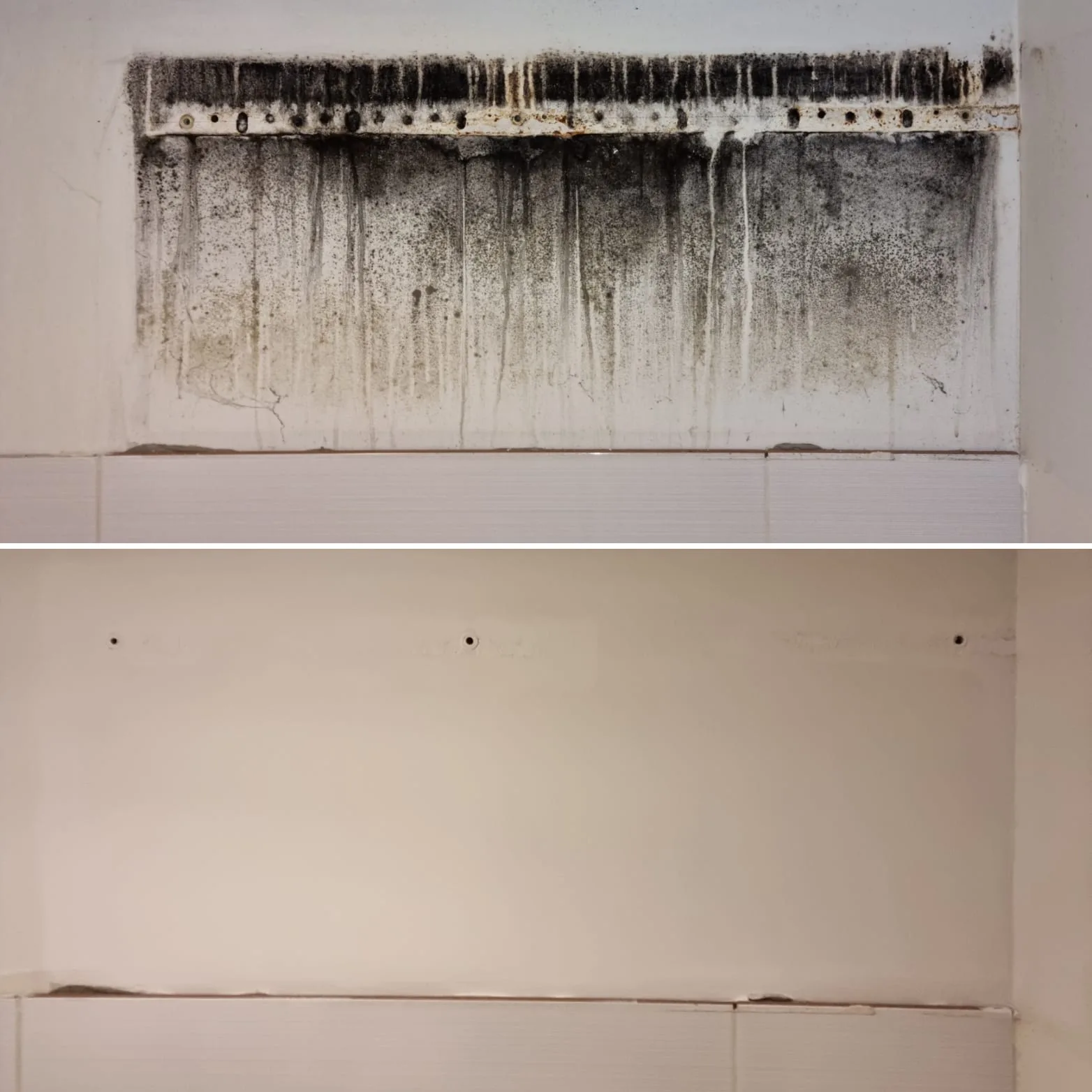 Wand über Fliesen mit schwarzem Schimmel vor und nach der Schimmelentfernung